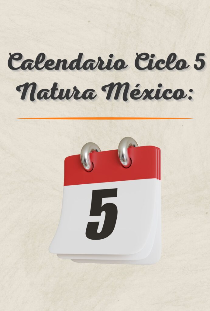 Calendario Ciclo 5 Natura México