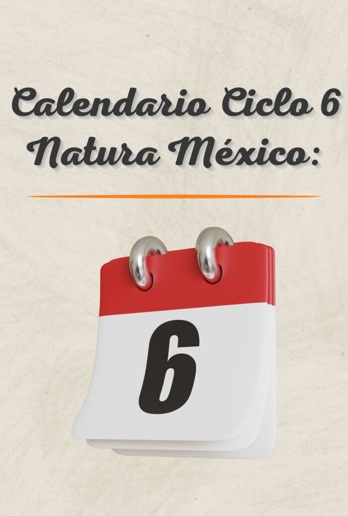 Calendario Ciclo 6 Natura México