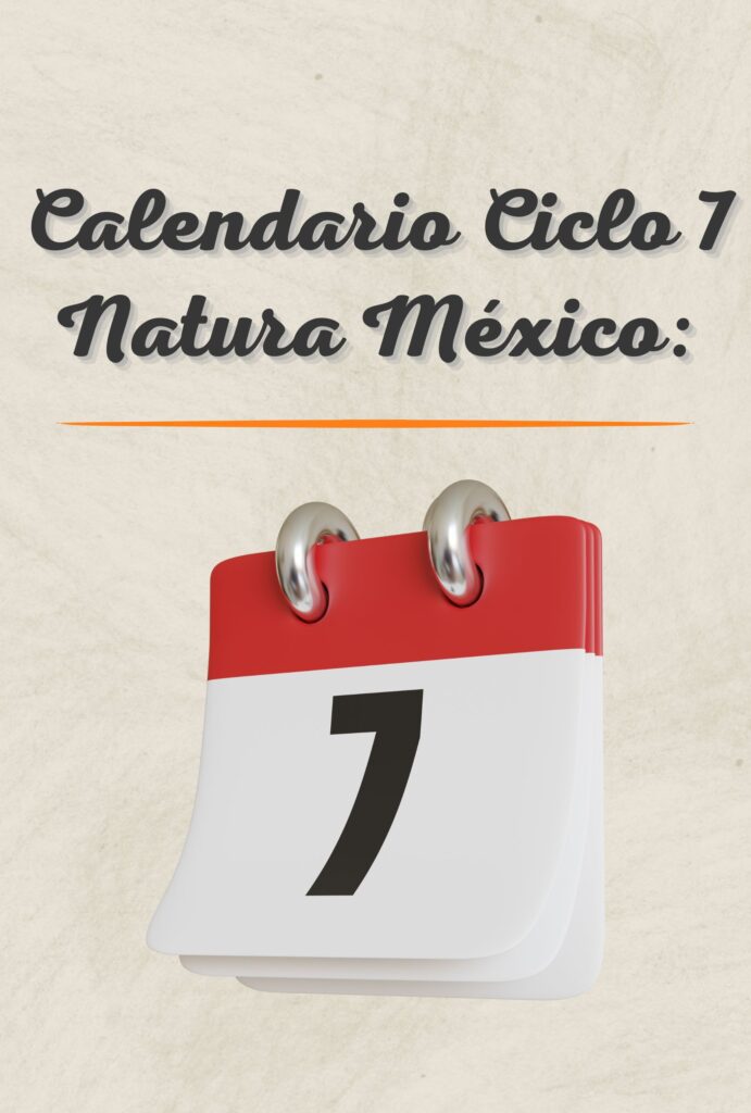 Calendario Ciclo 7 Natura México