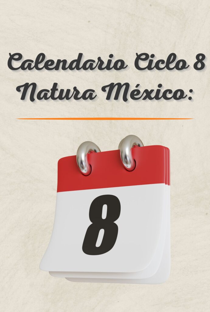 Calendario Ciclo 8 Natura México