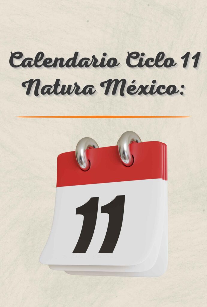 Calendario Ciclo 11 2024 Natura México