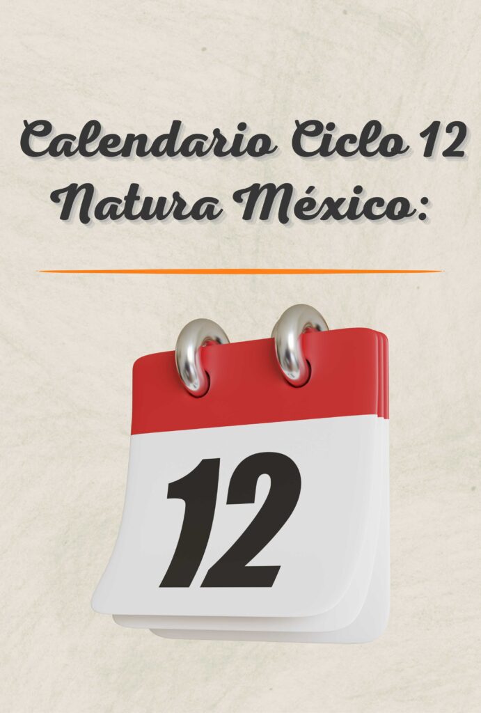 Calendario Ciclo 12 2024 Natura México