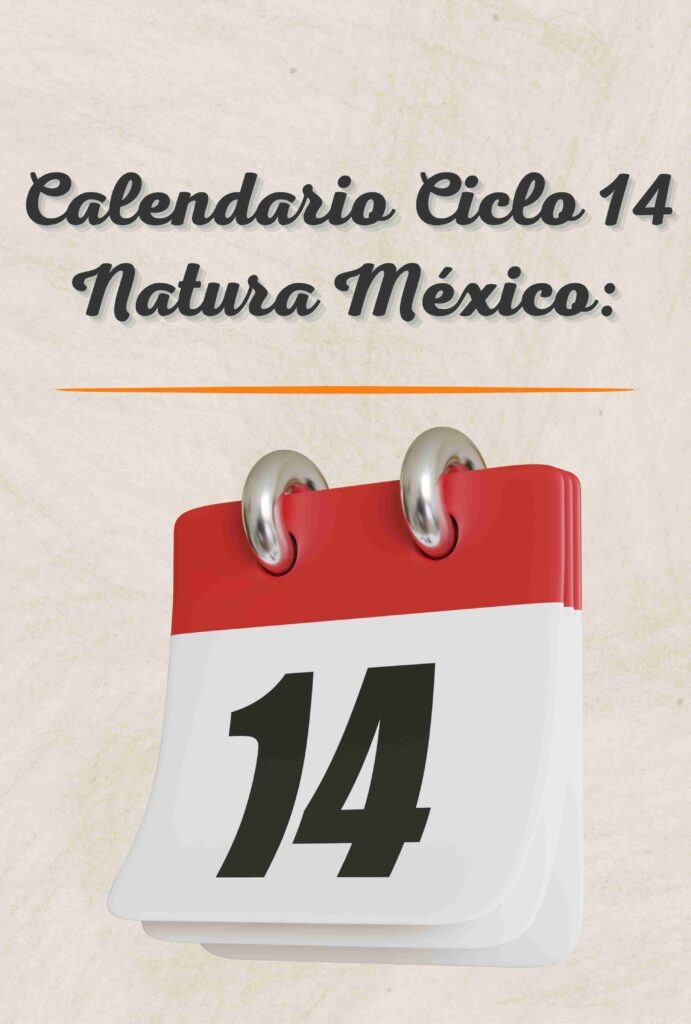 Calendario Ciclo 14 2024 Natura México