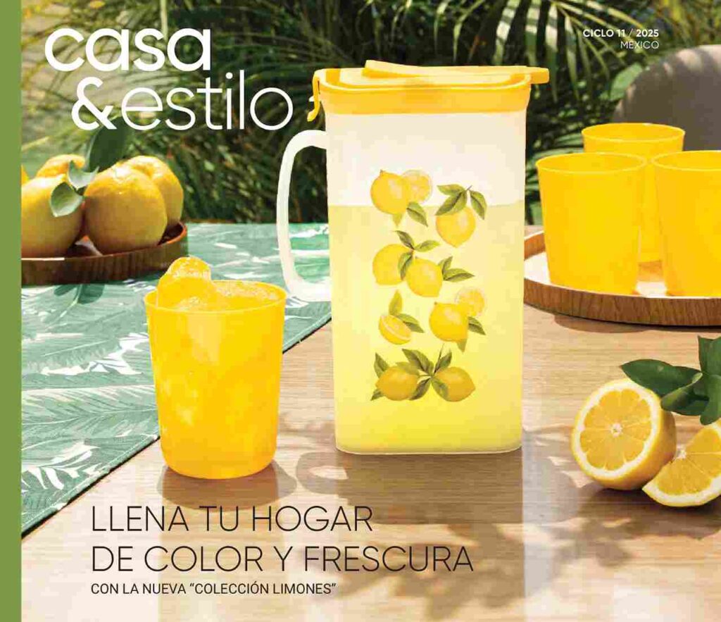 Casa y Estilo 11 2025