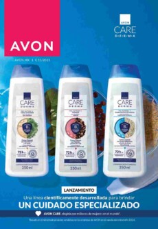 Catálogo Avon Ciclo 11 2025
