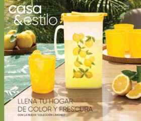 Casa y Estilo 11 2025